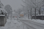 View of a Snowy Street